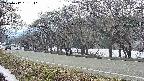 takano5-20250412151111.jpg