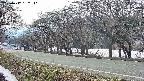 takano5-20250412152112.jpg