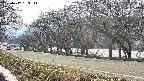 takano5-20250412153113.jpg