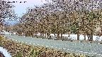 takano5-20250413050112.jpg