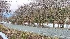 takano5-20250413051110.jpg