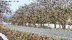 takano5-20250413052112.jpg