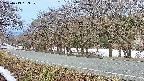 takano5-20250413053110.jpg