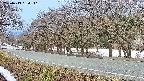 takano5-20250413054111.jpg