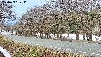 takano5-20250413055111.jpg