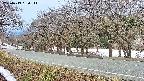 takano5-20250413060112.jpg