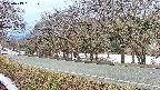 takano5-20250413061110.jpg