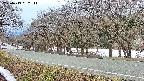 takano5-20250413062112.jpg