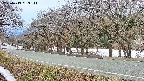 takano5-20250413063112.jpg