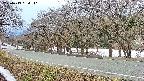 takano5-20250413064111.jpg