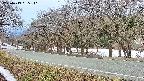 takano5-20250413065111.jpg