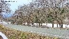 takano5-20250413070110.jpg