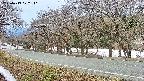 takano5-20250413072112.jpg