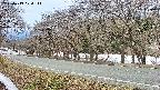 takano5-20250413074112.jpg