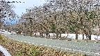 takano5-20250413075111.jpg