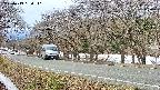 takano5-20250413080111.jpg