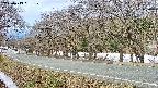 takano5-20250413081110.jpg