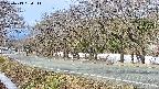 takano5-20250413084112.jpg