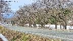 takano5-20250413085110.jpg