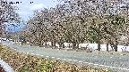 takano5-20250413091111.jpg