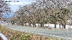 takano5-20250413092112.jpg