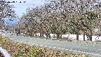 takano5-20250413094111.jpg
