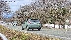 takano5-20250413095112.jpg