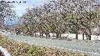 takano5-20250413100113.jpg