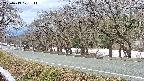 takano5-20250413101112.jpg