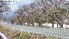 takano5-20250413102110.jpg