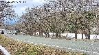 takano5-20250413103112.jpg