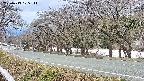 takano5-20250413105113.jpg