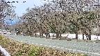 takano5-20250413111111.jpg