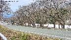 takano5-20250413112111.jpg
