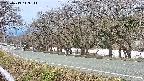 takano5-20250413113112.jpg