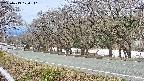takano5-20250413120111.jpg