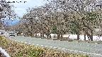 takano5-20250413122112.jpg