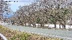 takano5-20250413130114.jpg
