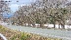 takano5-20250413131112.jpg