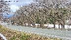 takano5-20250413132111.jpg