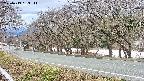 takano5-20250413133112.jpg