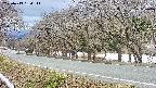 takano5-20250413134112.jpg