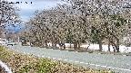 takano5-20250413135113.jpg