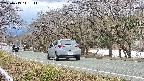 takano5-20250413141112.jpg