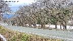 takano5-20250413144111.jpg