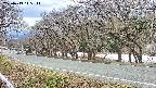 takano5-20250413145112.jpg