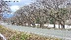 takano5-20250413150112.jpg