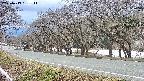 takano5-20250413151112.jpg