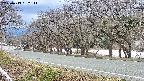 takano5-20250413152112.jpg