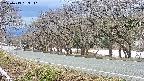 takano5-20250413153112.jpg